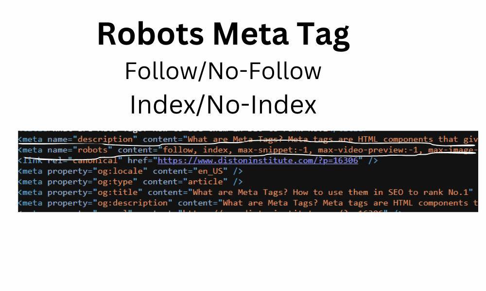 what are Robots meta tags? what are meta tags?